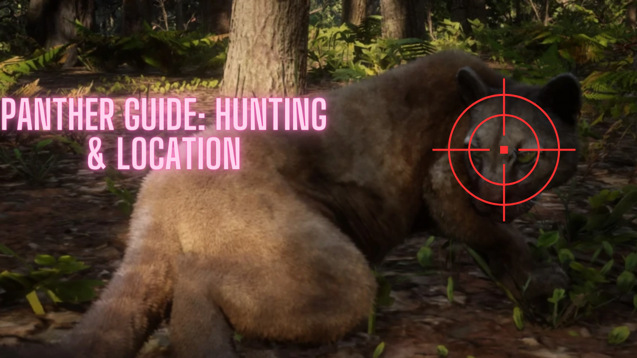 Panther Location and Perfect Pelt Hunting Guide - Red Dead Redemption 2  Guide - IGN