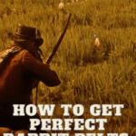 Red Dead Redemption 2 Beginners’ Quick Tips